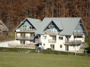 Apartment MANCA-HOLIN